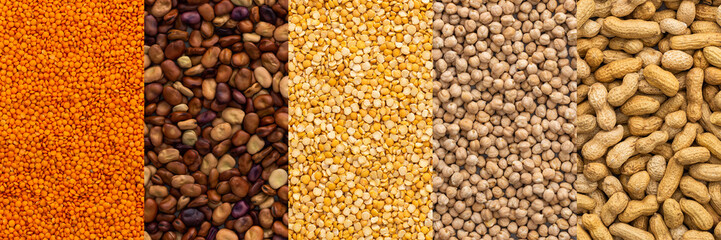 Different types of legumes banner, chickpeas and lentils, peanuts and yellow peas and beans , top view