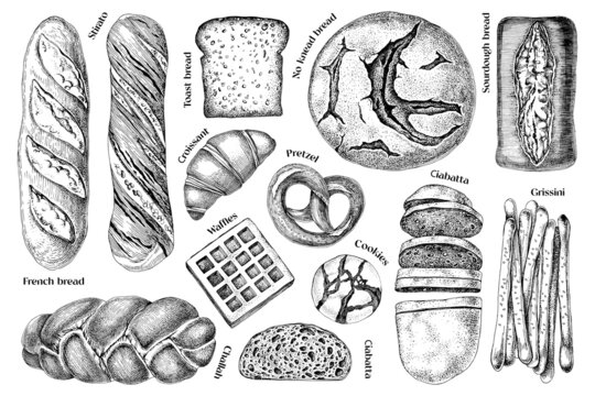 Fresh baked bread sketches set