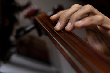 Close-up of the hand correctly placed in first position on the cello. Concept orchestra instrument and music student.