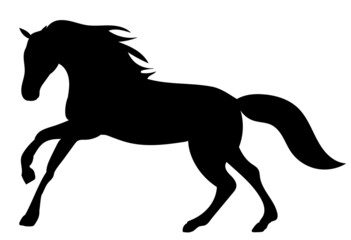 Fototapeta na wymiar running horse black silhouette on white background, isolated, vector