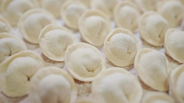 raw dumplings lie in even rows. homemade dumplings