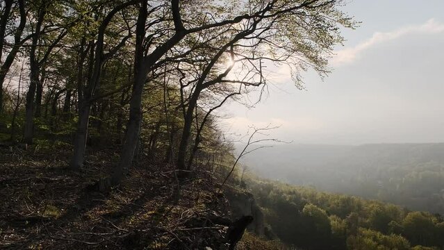 Beautiful View Of Small Town in spring time. Bleicherode, Deutcshland.