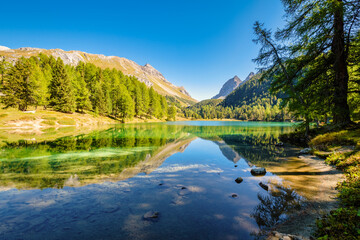 Lake Palpuogna (German: Palpougnasee, Romansh: Lai da Palpuogna) is a mountain lake at Albula Pass in the Bergün municipality (Grisons, Switzerland) and once voted most beautiful spot in Switzerland