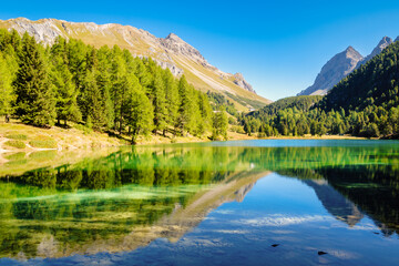 Naklejka na ściany i meble Lake Palpuogna (German: Palpougnasee, Romansh: Lai da Palpuogna) is a mountain lake at Albula Pass in the Bergün municipality (Grisons, Switzerland) and once voted most beautiful spot in Switzerland