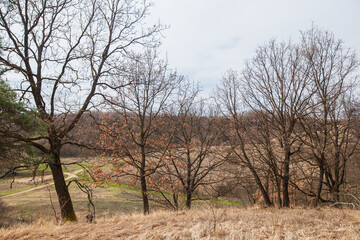 Countryside Nature Landscape. Hills and Fields, Pasture Area, Early Spring Seasons. Dry Grassy Vegetation. 