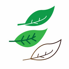 Fototapeta premium Logos of green leaf ecology nature element vector