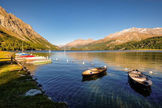 September sun is setting at gorgeous Plaun da Lej, a famous Swiss bay at Lake Sils (Silsersee), in the Upper Engadine Valley (Grisons, Switzerland). It lies between Lake Silvaplana and Maloja Pass
