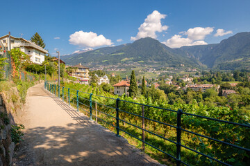 Tappeiner Promenade, a trail in Merano (Souty Tyrol, Italy) offers Alpine and Mediterranean vegitation and great views on the town and the Adige Valley. It was donated by doctor Franz Tappeiner. - obrazy, fototapety, plakaty