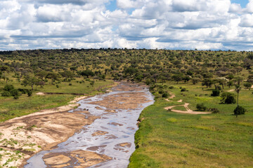 panoramic view of Tarangire National Park with a river and forest - Tanzania, Africa