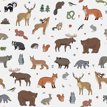 Forest animals vector seamless pattern