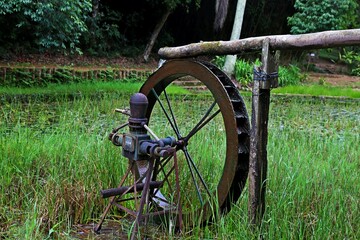 Ancient technology of a water wheel powered by spring water for agriculture irrigation. The wheel, pipe, water in the middle of vegetation.