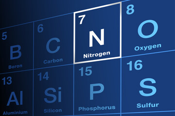 Nitrogen on periodic table of the elements. Chemical element with symbol N and atomic number 7. Occurs in all organisms in amino acids, DNA, RNA and ATP. N2 gas forms 78 percent of Earths atmosphere. - obrazy, fototapety, plakaty