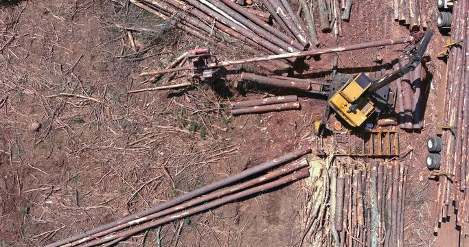 Aerial view on tree removal crane operator loading logs to truck for new construction plase
