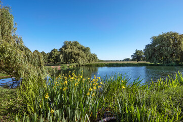Home Park Pond Hampton Court