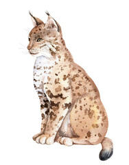 Watercolor woodland animal. North lynx. Hand drawn illustration.  Design for print, postcard, greeting card, invitation, poster, scrapbooking