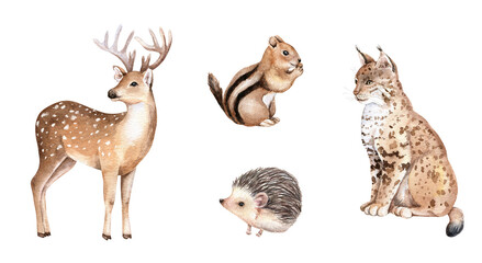 Watercolor woodland animal clipart set. Cute deer, lynx, hedgehog, chipmunk. Hand drawn illustration.  Nursery design for prints, postcards, greeting cards, invitations