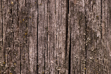 Brown wooden background, old boards with cracks