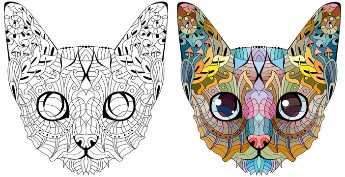 Zentangle stylized head of cat. Hand Drawn lace vector illustration. Color and outline set.