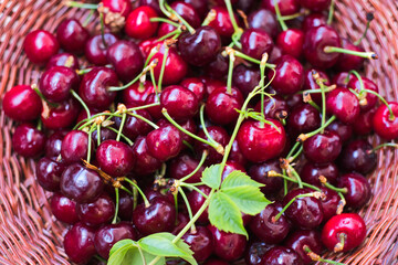 Ripe red cherries in a bowl and next to it on wooden table