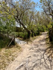 Parc de Marquenterre