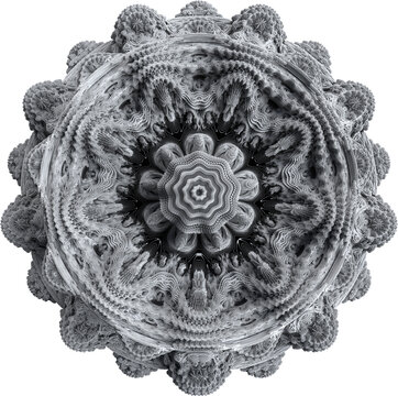 Abstract Organic Monochrome Isolated Surreal Symmetry Fractal Shape