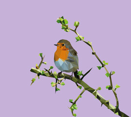 Rotkehlchen (Erithacus rubecula) Vogel sitzt auf Zweig Lowpoly Artwork - Hintergrund lila