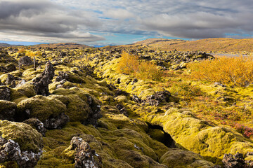 Typische Moosbewachsene Felslandschaft auf der isländischen Hochebene