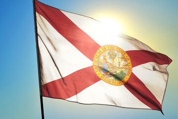 Florida state of United States flag waving on the wind