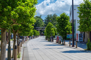 Naklejka premium 初夏の鹿島神宮の参道 茨城県鹿嶋市