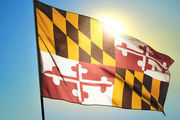 Maryland state of United States flag waving on the wind