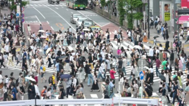 渋谷スクランブル交差点の混雑映像（ぼかし有り）