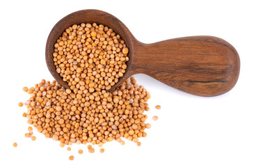 Mustard seeds in wooden spoon, isolated on white background. Pile of dry mustard grains.