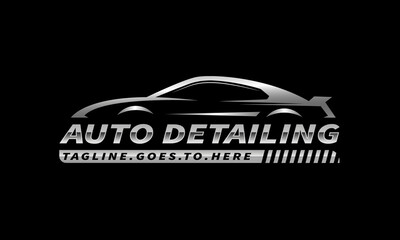 Car logo, auto detailing logo, automotive logo. Sports vehicle vector illustration, sports vehicle icon	