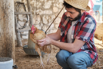 Young man holding a beak trimmed hen in a chicken coop. Farmer working. © Ladanifer