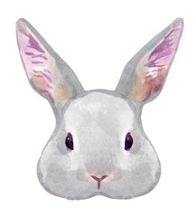 うさぎの顔の水彩イラスト