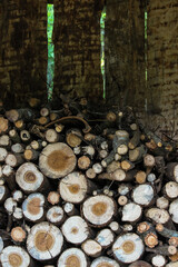 Armazenamento de lenha