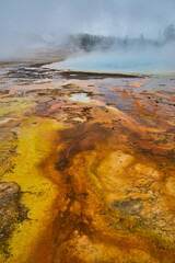 Acidic and colorful pools of Yellowstone in spring with sulfur gasses