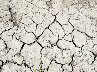 Parched ground