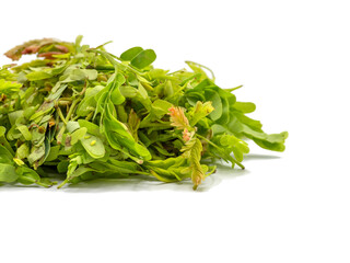 Heap of Tamarind leaves isolated on white background. Spot focus