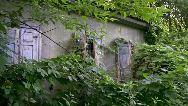 Abandoned house in the wilds of Chernobyl. Ukrainian architecture. Chernobyl city. Ukraine