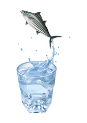 bonite à dos rayé , poisson, évasion, saut, eau, en verre, boire, clapoter, liquide, isolé, froid, blanc, danger, boisson, glace, bouillonner, bleu, éclaboussure, frais, clair, abattre, verser, sain, 