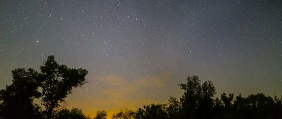 Fototapeta na wymiar dark forest silhouette under starry sky, night outdoor scene