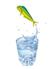 coryphène dauphin  , poisson, évasion, saut, eau, en verre, boire, clapoter, liquide, isolé, froid, blanc, danger, boisson, glace, bouillonner, bleu, éclaboussure, frais, clair, abattre, verser, sain,