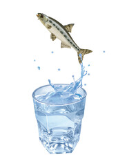goujon , poisson, évasion, saut, eau, en verre, boire, clapoter, liquide, isolé, froid, blanc, danger, boisson, glace, bouillonner, bleu, éclaboussure, frais, clair, abattre, verser, sain, transparent