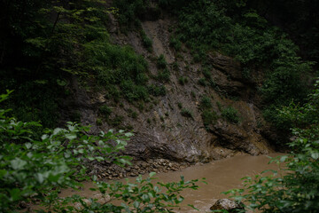Mountain river after rains close-up. Journey through the forest area along the stream. Summer landscape.