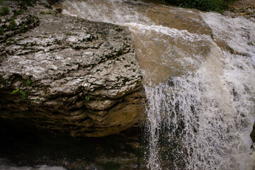 Mountain river after rains close-up. Journey through the forest area along the stream. Summer landscape.