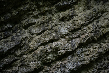 Wet stones near the river bank close-up.