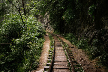 Fairy-tale landscape of abandoned rails laid along high mountains. Summer forest after the rain.