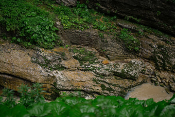 Wet stones near the river bank close-up.
