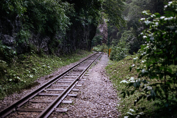 Fairy-tale landscape of abandoned rails laid along high mountains. Summer forest after the rain.